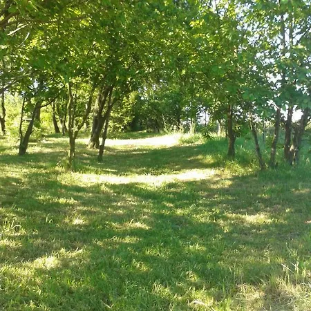 Owocowy Domek Samotwór Exterior foto