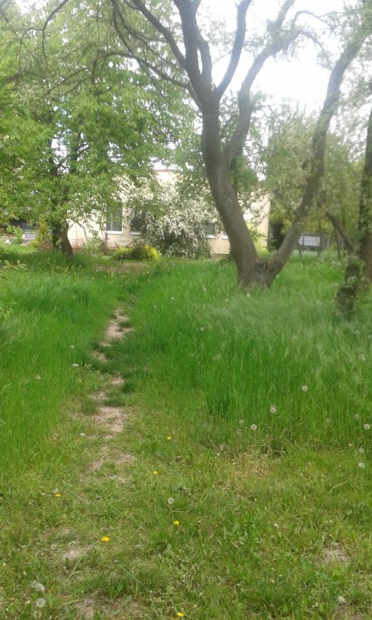 Ferienhaus Owocowy *