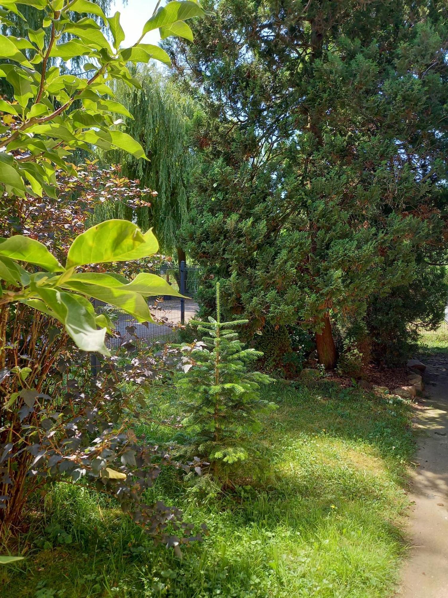 Owocowy Ferienhaus Samotwór