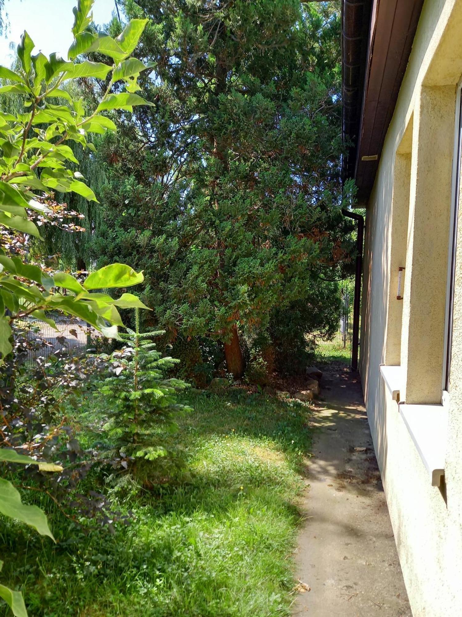 Owocowy Samotwór